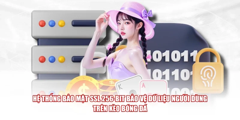Hệ thống bảo mật SSL 256-bit bảo vệ dữ liệu người dùng trên Kèo Bóng Đá