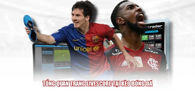 Tổng quan trang Livescore tại Kèo Bóng Đá